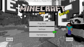 Bedrock 1.16.210.51.png